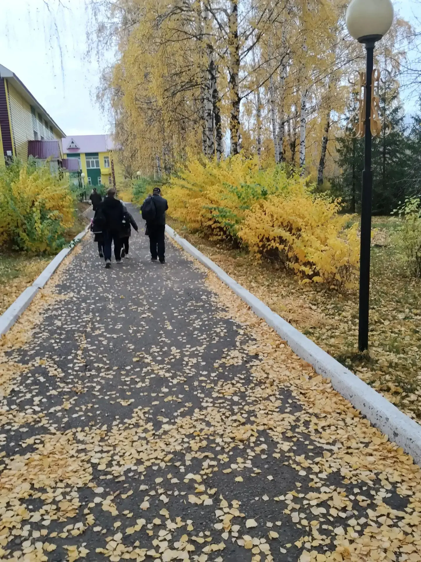 ОСЕНЬ В НАШЕЙ ШКОЛЕ🍁🍂