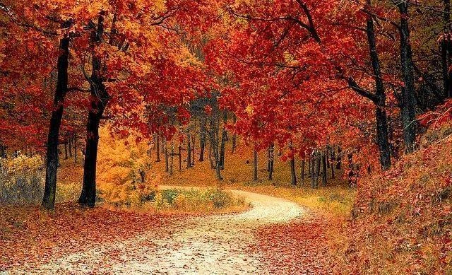В Перми ожидается рекордное потепление 🍁