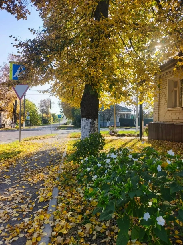 Приятное осеннее утро с улицы Карла Либкнехта.