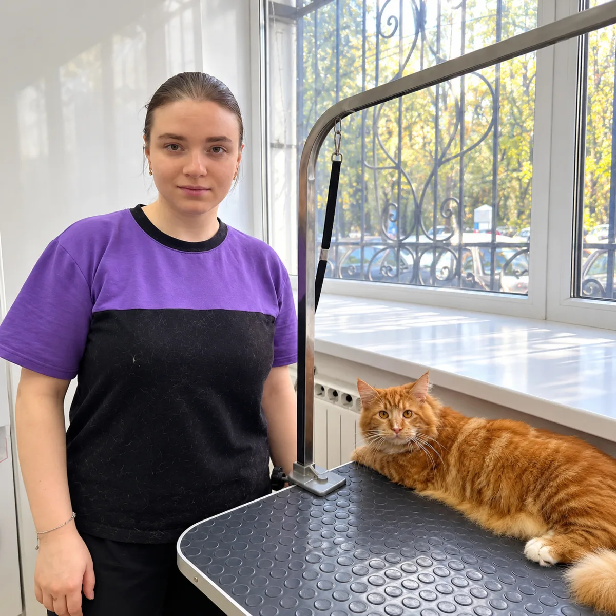 Хотите стать грумером для кошек? Всё просто. Записались, пришли, учитесь на реальных мо...