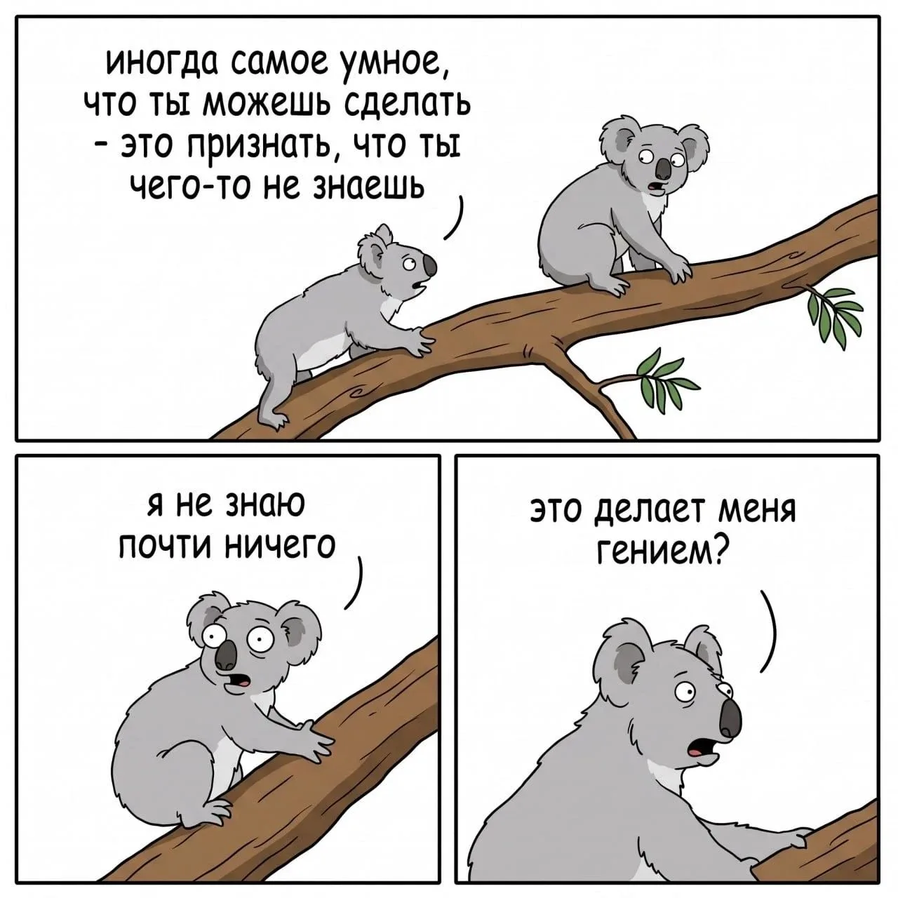 Все мы гении. Если смотреть на это с нужной стороны 😏