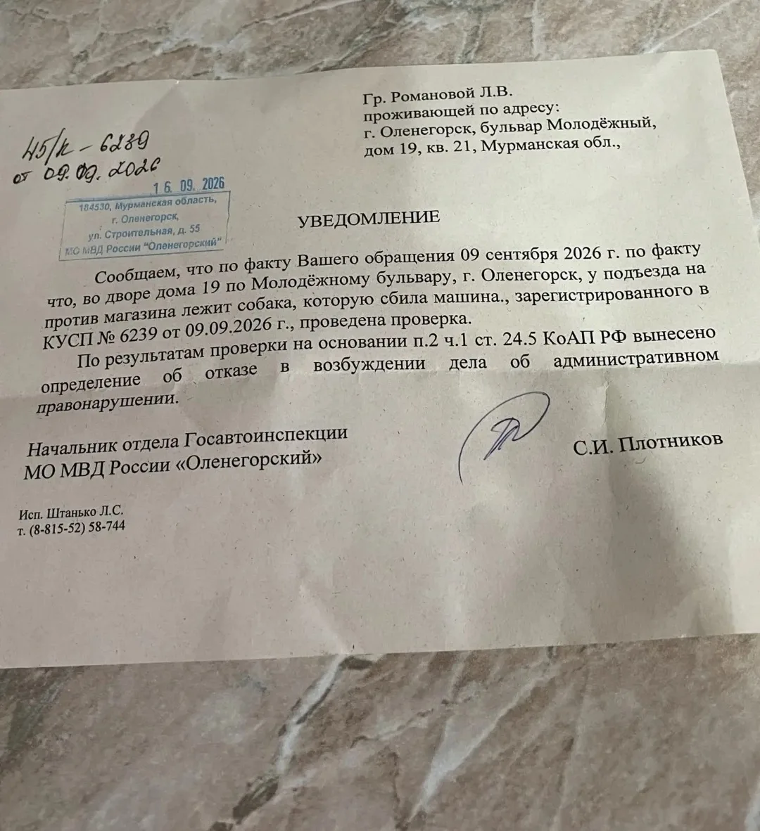 🐶 Водитель видел, что едет прямо на собаку… жесть из Оленегорска