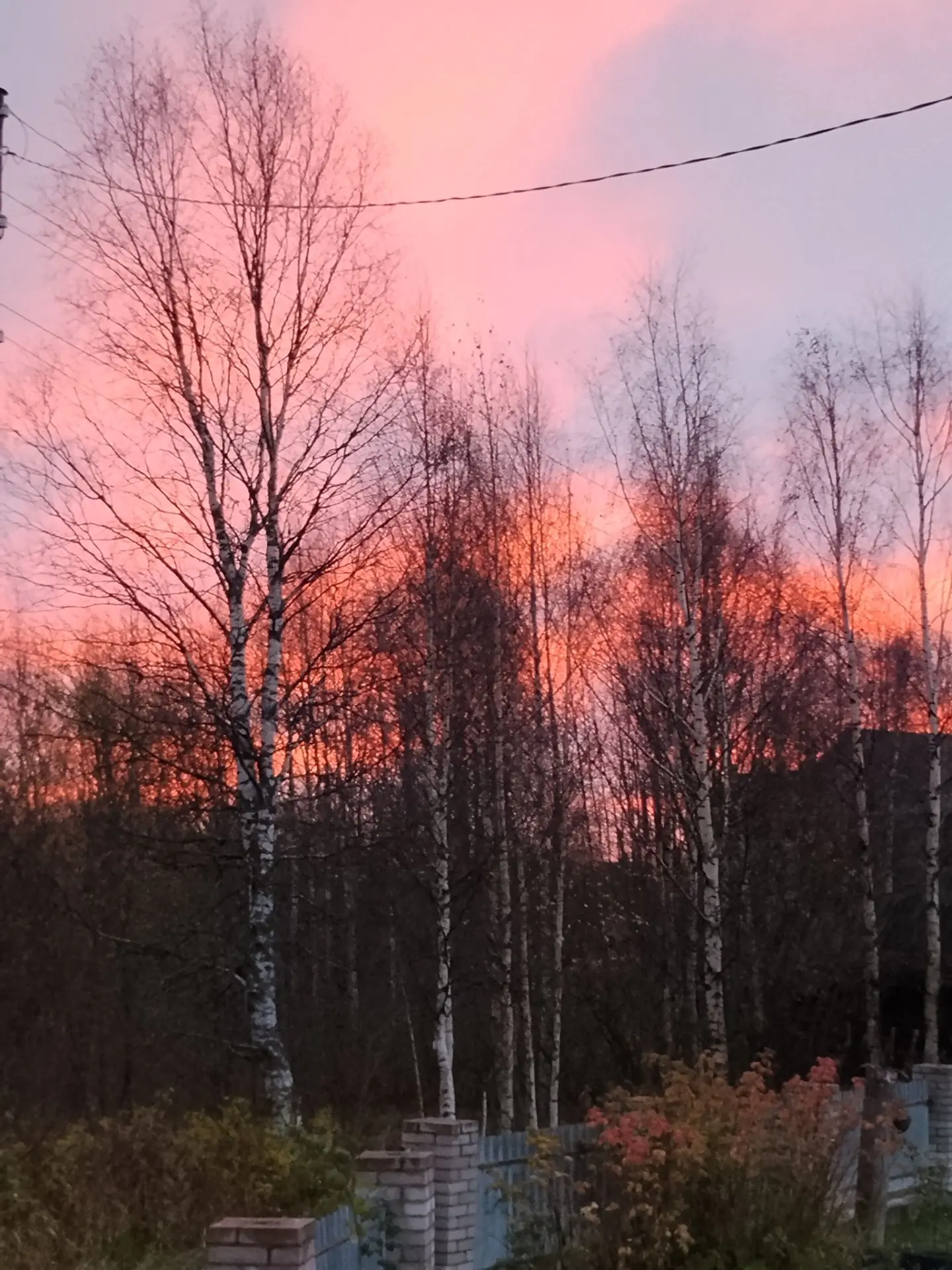 ☀️ С добрым утром четверга! 🌷