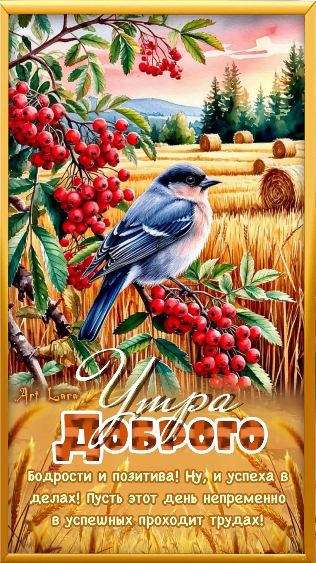 Вязание спицами и крючком