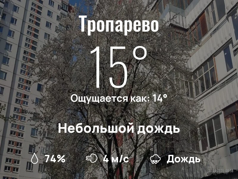 Что с погодой в Тропарево?