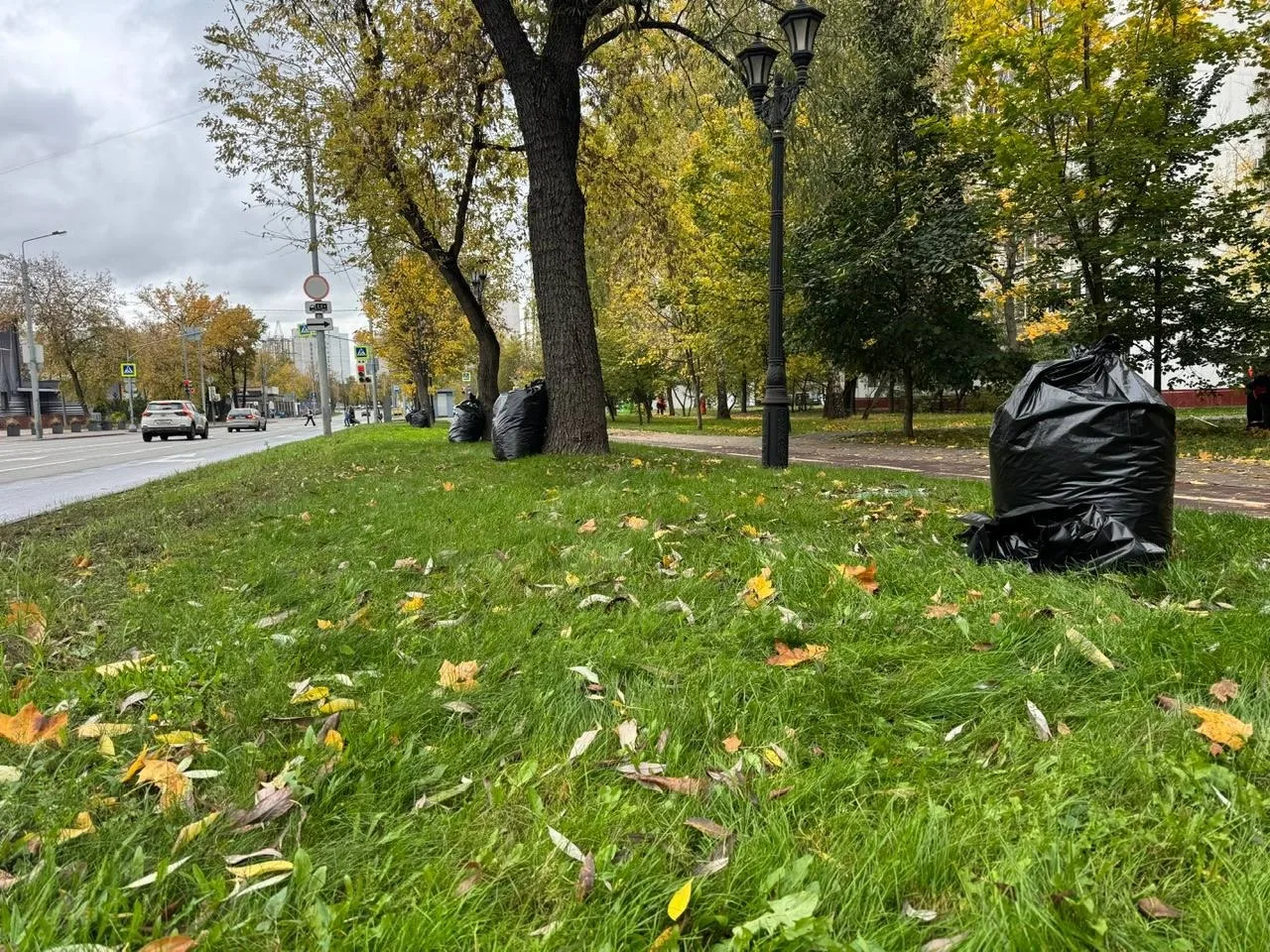 🍂 На улице Свободы коммунальщики убрали опавшую листву — и газон снова выглядит почти ...