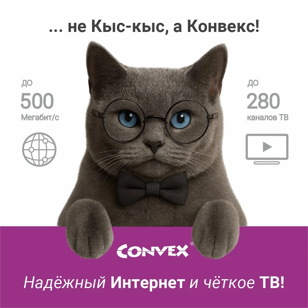 Котики рекомендуют!