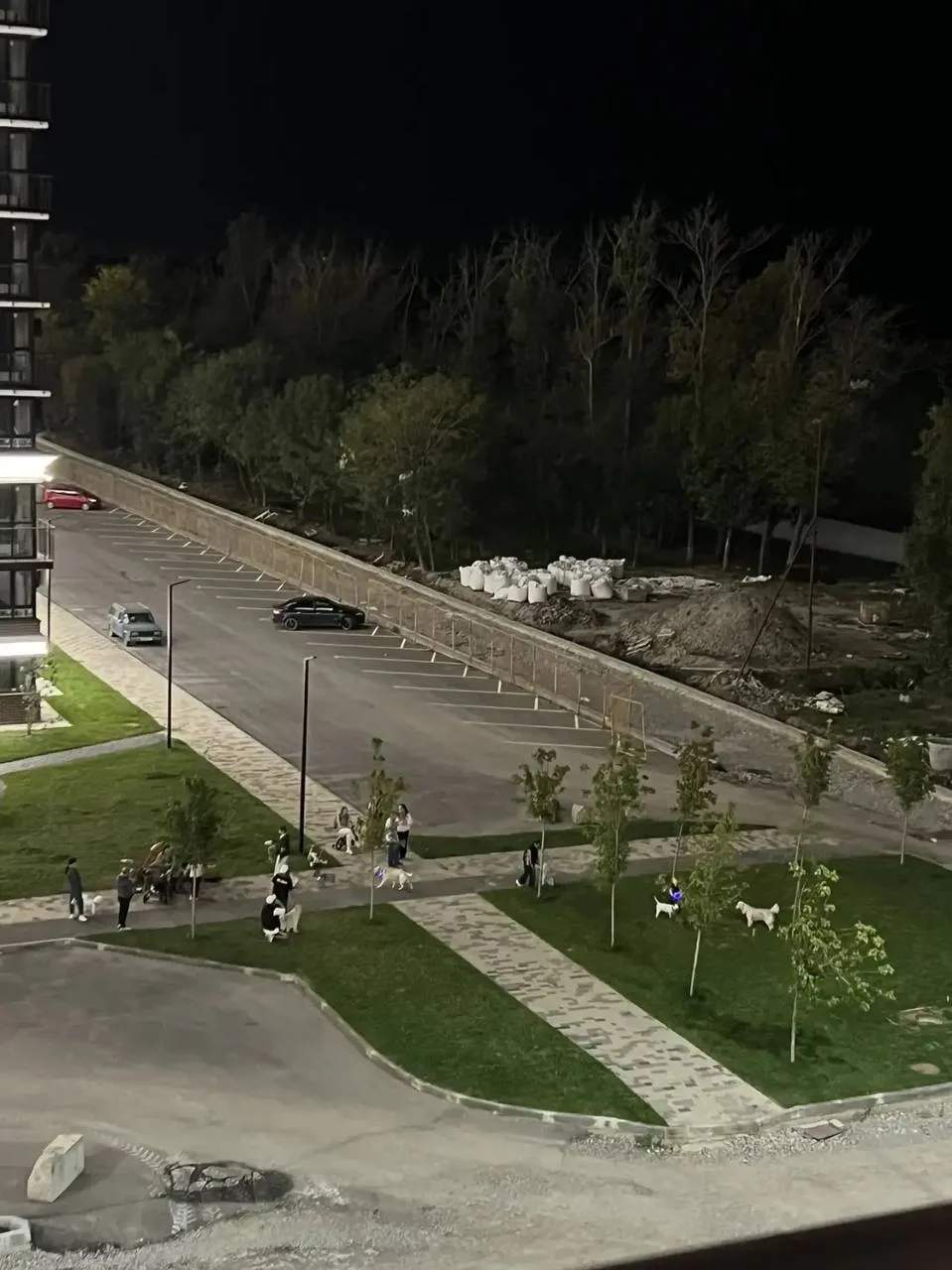 А говорят, что в Самолете нет площадки для выгула собак…