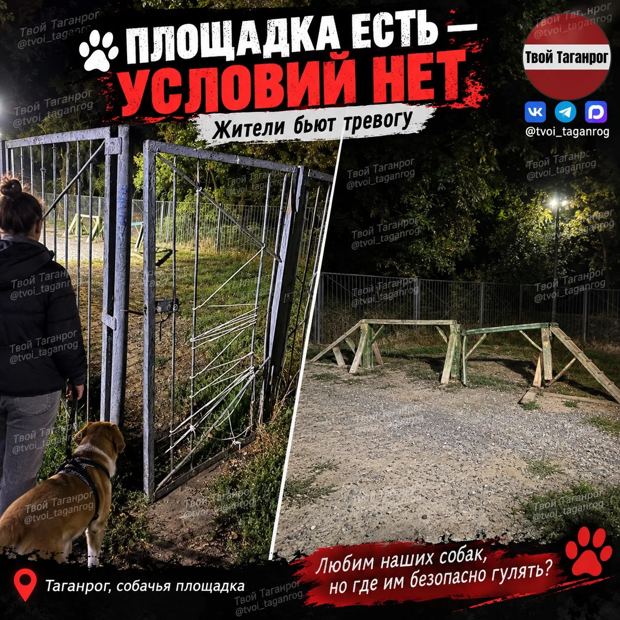 🐕 Площадка для собак на Петра I превратилась в ПРОБЛЕМУ