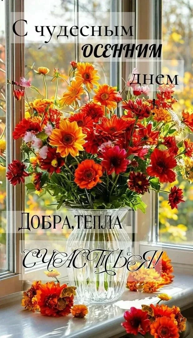 Доброе утро ! 🍁🍂🍁