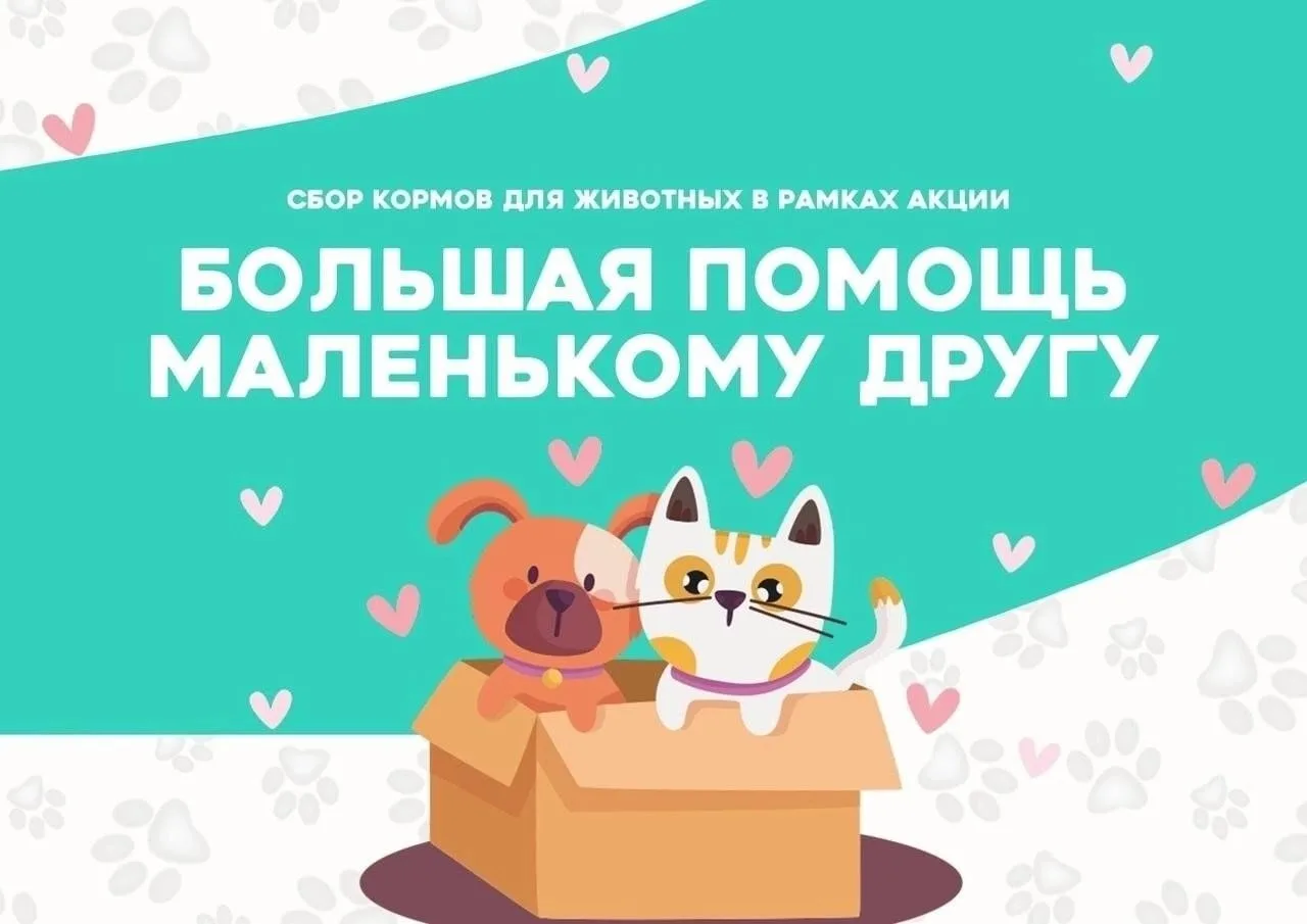 🐾 Акция «Большая помощь маленькому другу»