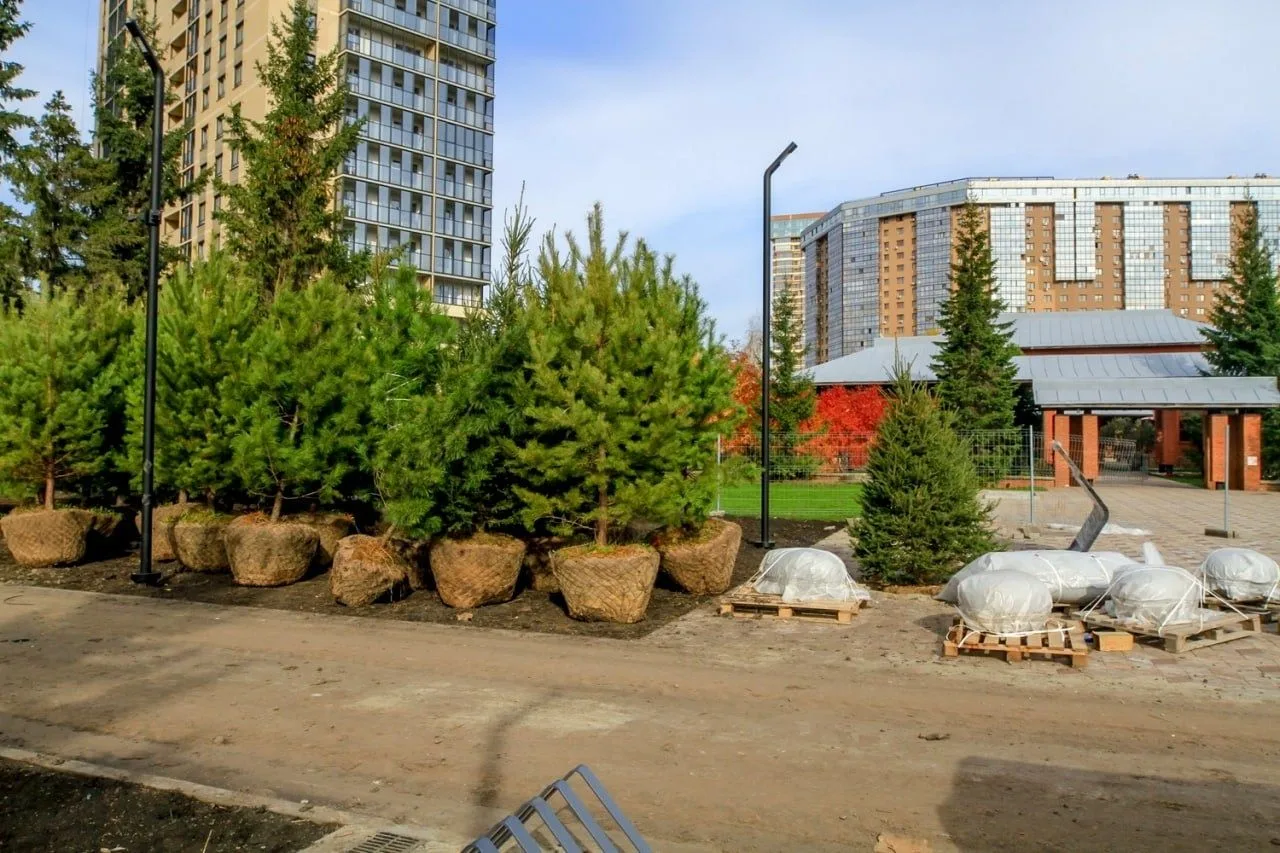 🌳Бугаков‑парк в Новосибирске почти готов: благоустройство выходит на финишную прямую!