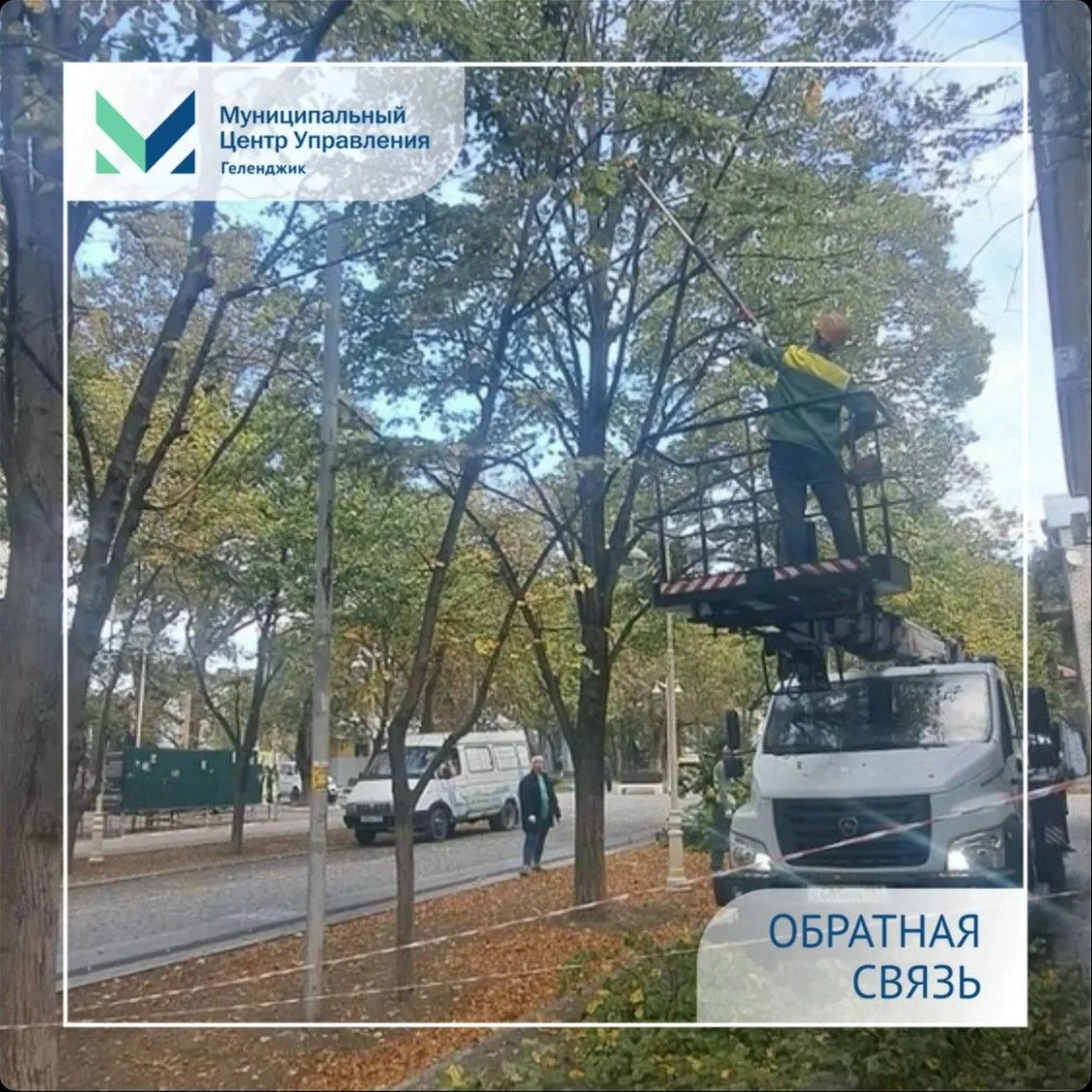 Покос травы и обрезка деревьев: работы продолжаются