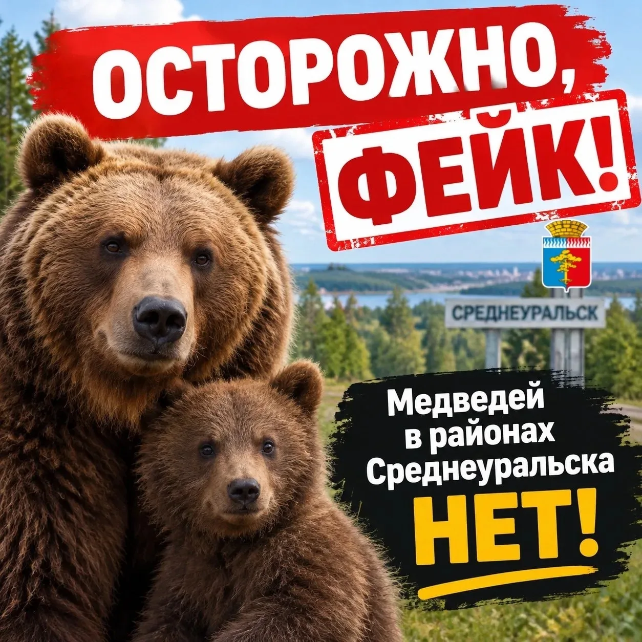 🐻 ОСТОРОЖНО, ФЕЙК! Медведей в районах Среднеуральска НЕТ!