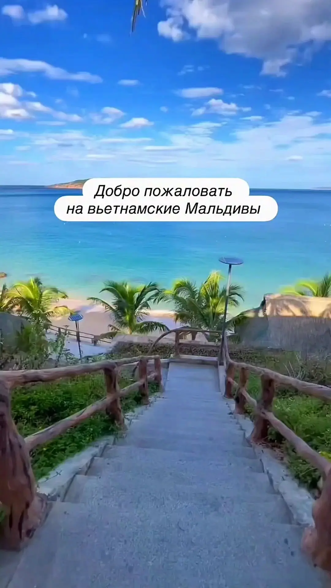 Видео: https://vk.ru/clip-59717399_456241050
