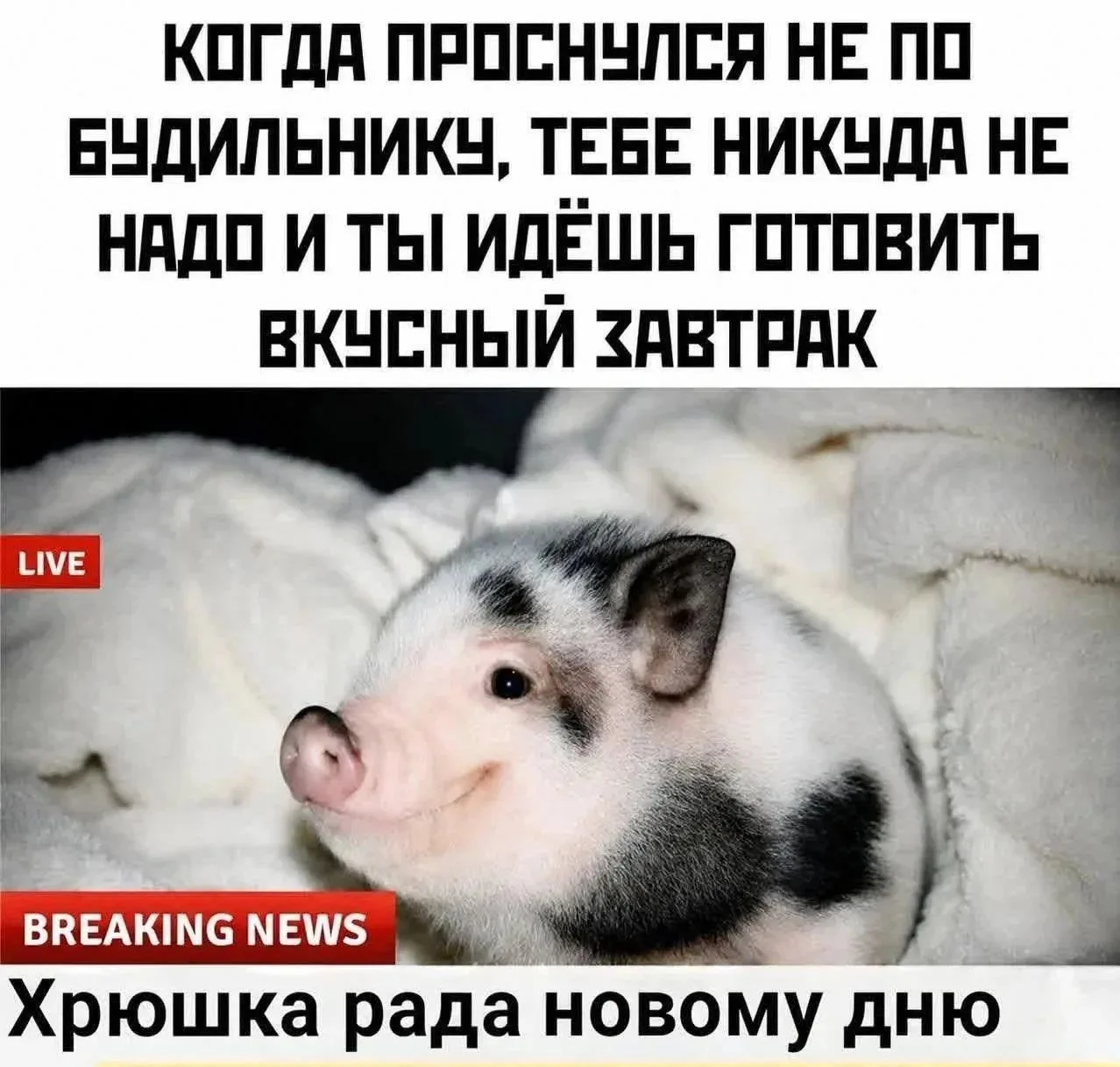 😁Православные тоже шутят - Позитивный канал, с доброй и душевной атмосферой.