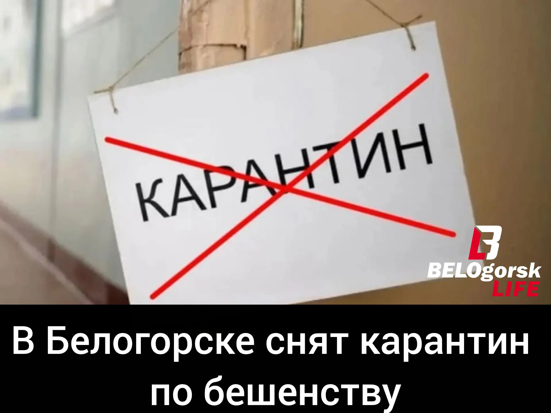 Управление ветеринарии Амурской области сообщило радостную новость — в Белогорске снят ...