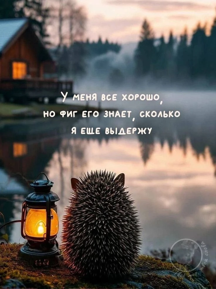 Доброе утро, мои хорошие! 🌸