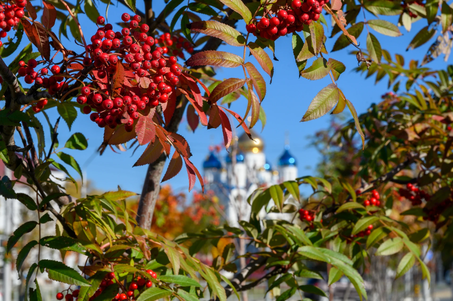 Сегодня в #ГородеЮжном красиво, но серо, поэтому предлагаю вспомнить прекрасный вчерашн...