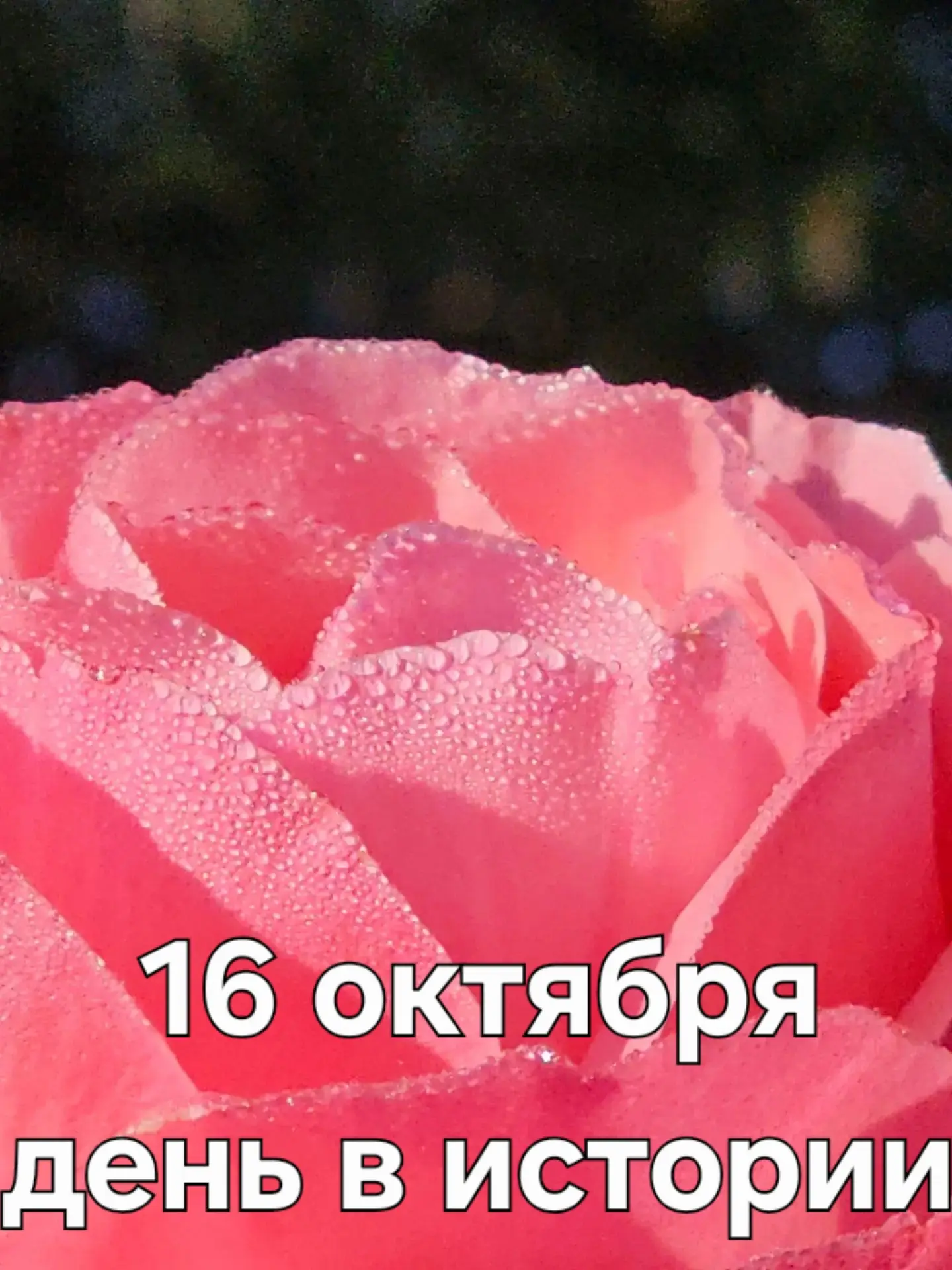 А знаете ли вы, что ❓
