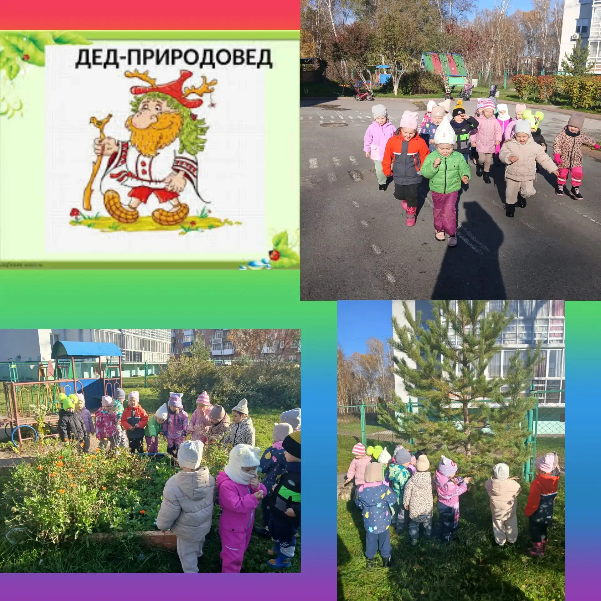 💐🌳🍃Вперед по экологической тропе!