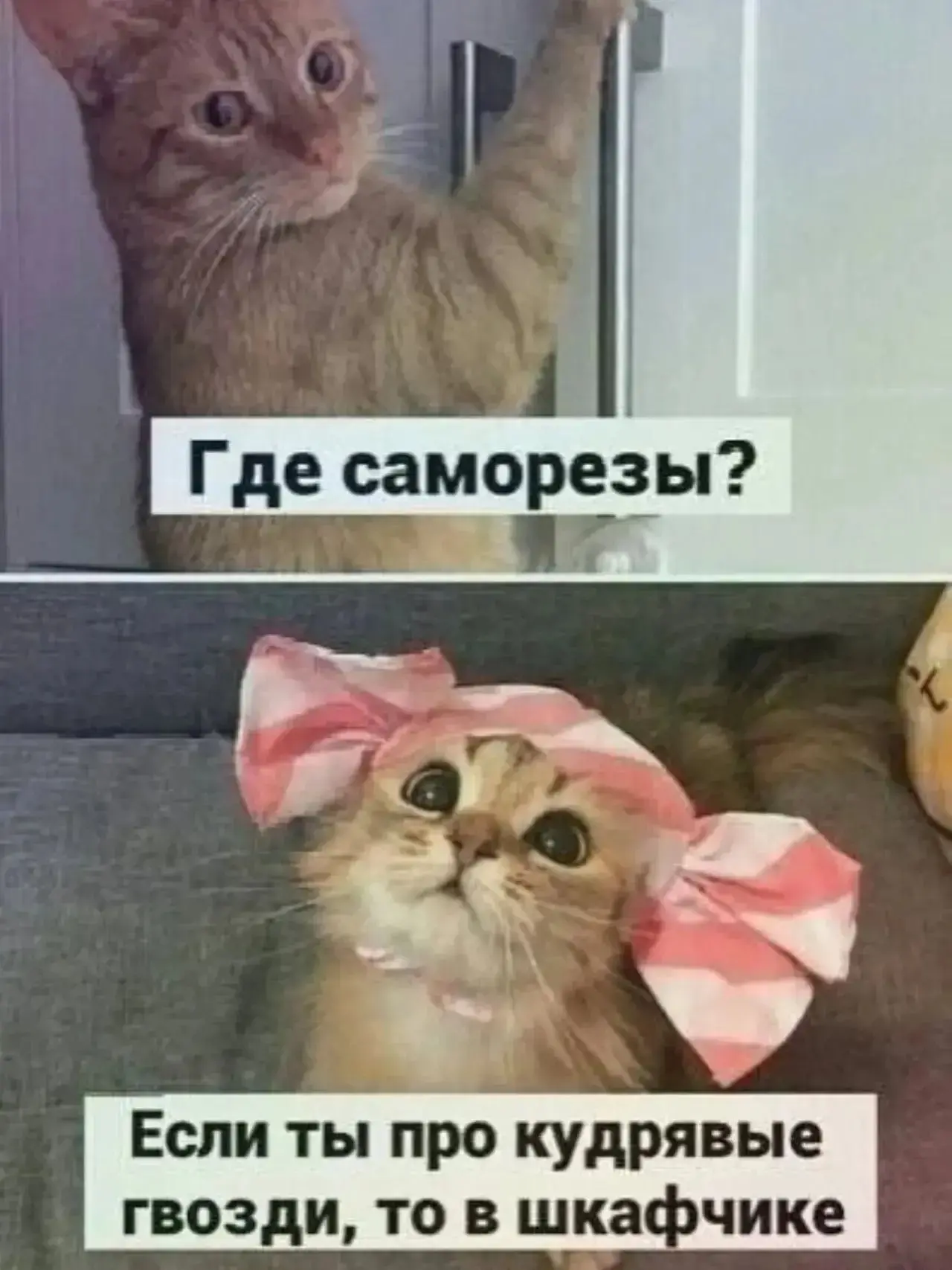 ПРУFИКИ В МАХ