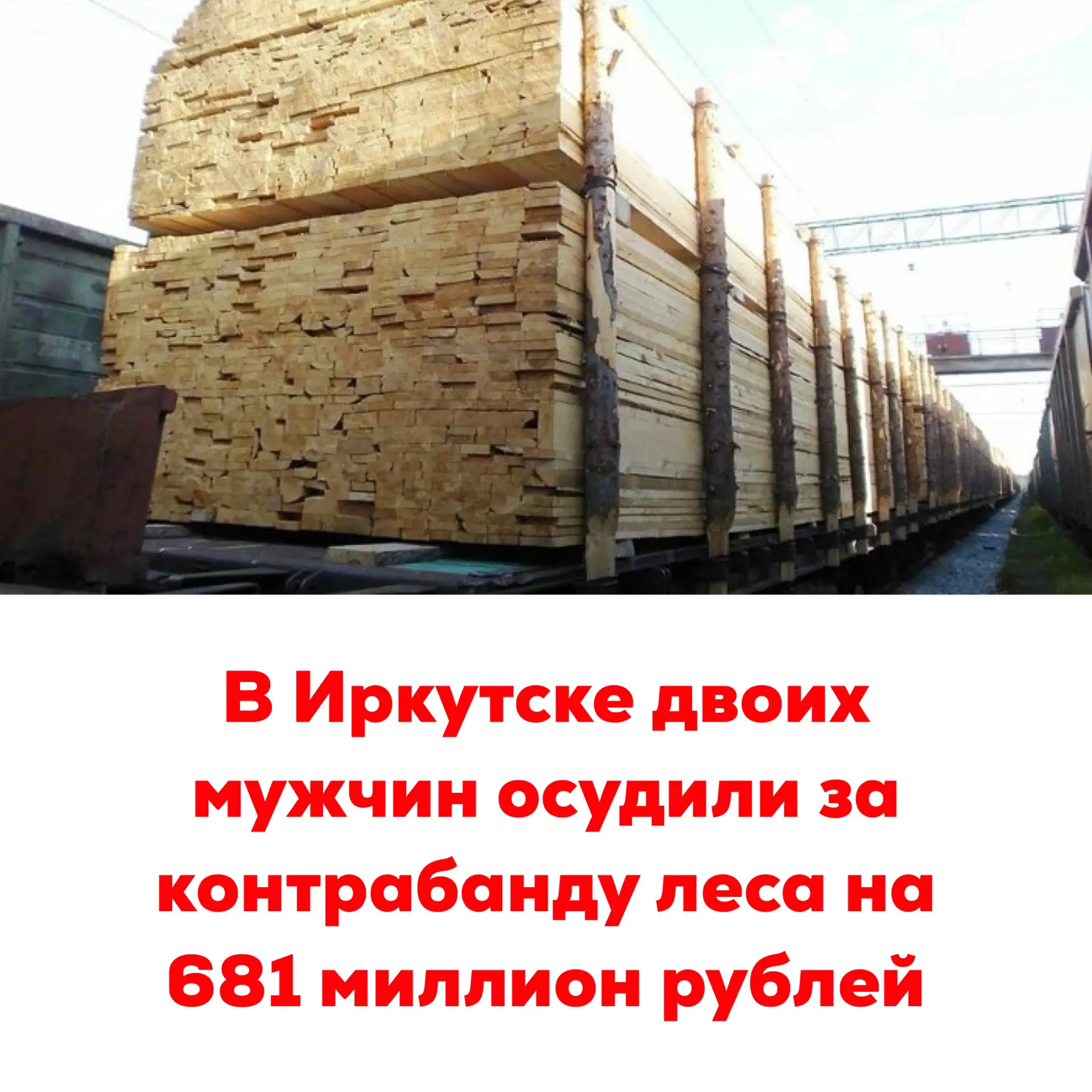 🔴В Иркутске двоих мужчин осудили за контрабанду леса на 681 миллион рублей