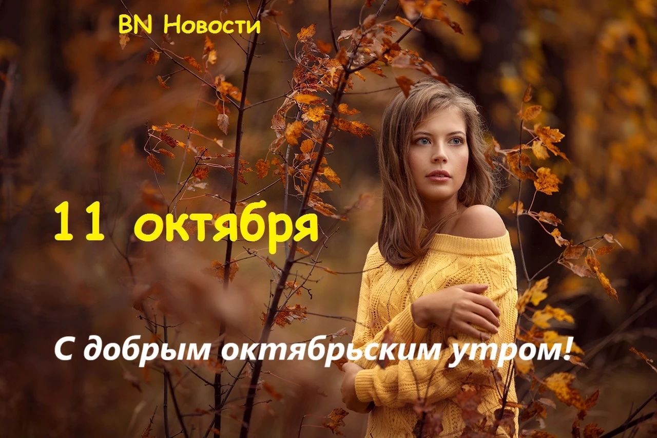 Подписаться на BN Новости –