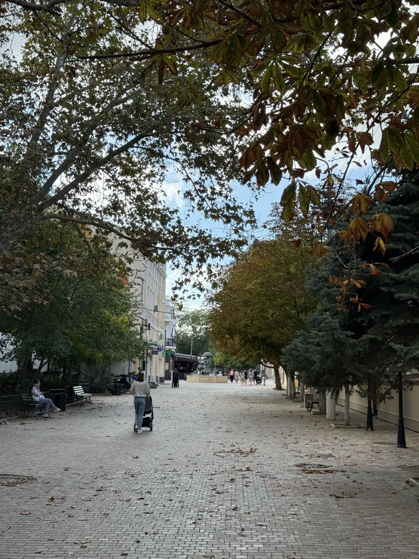Осень в любимом городе 🍂