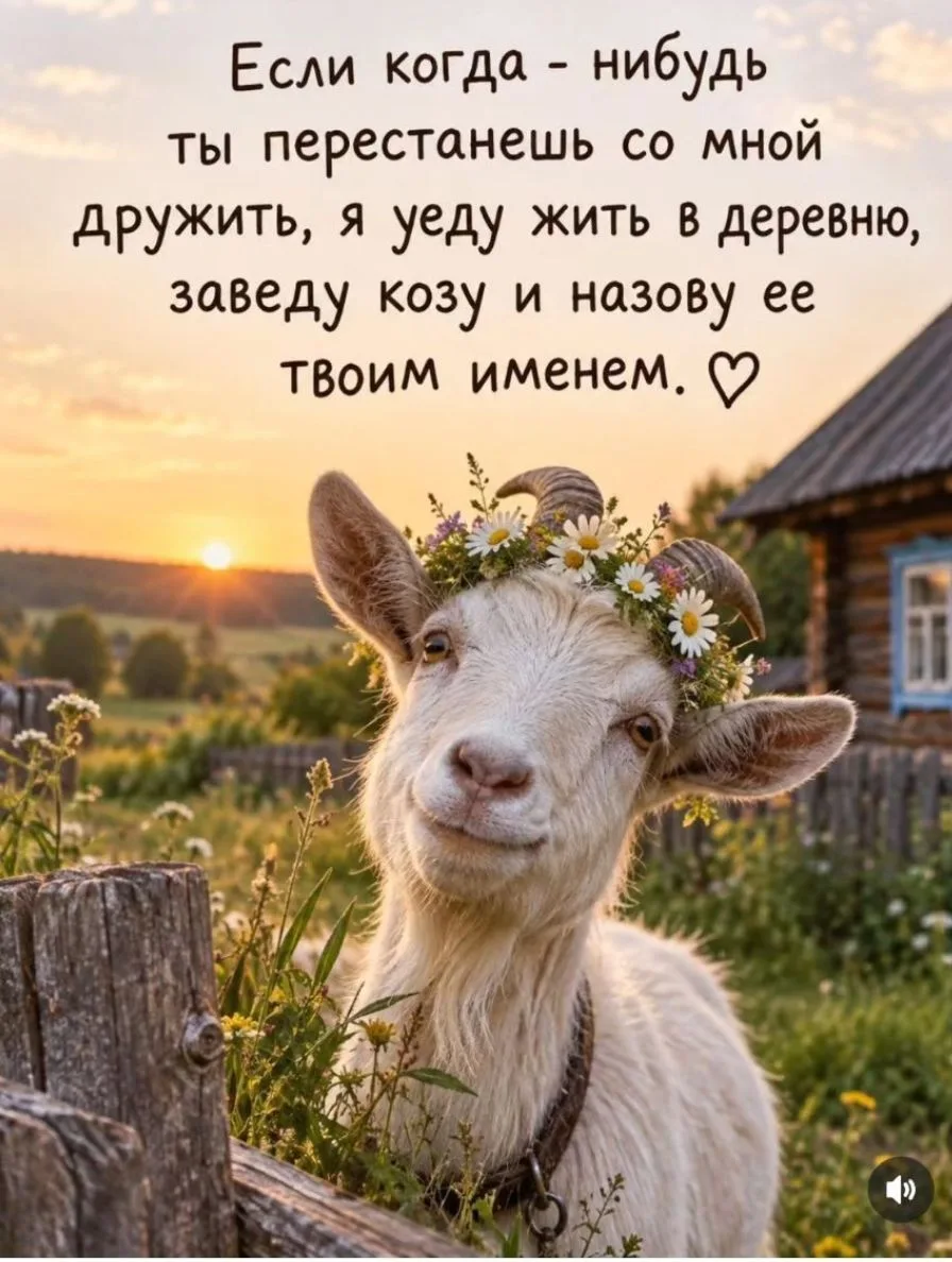 Спасибо за реакции — очень ценю!