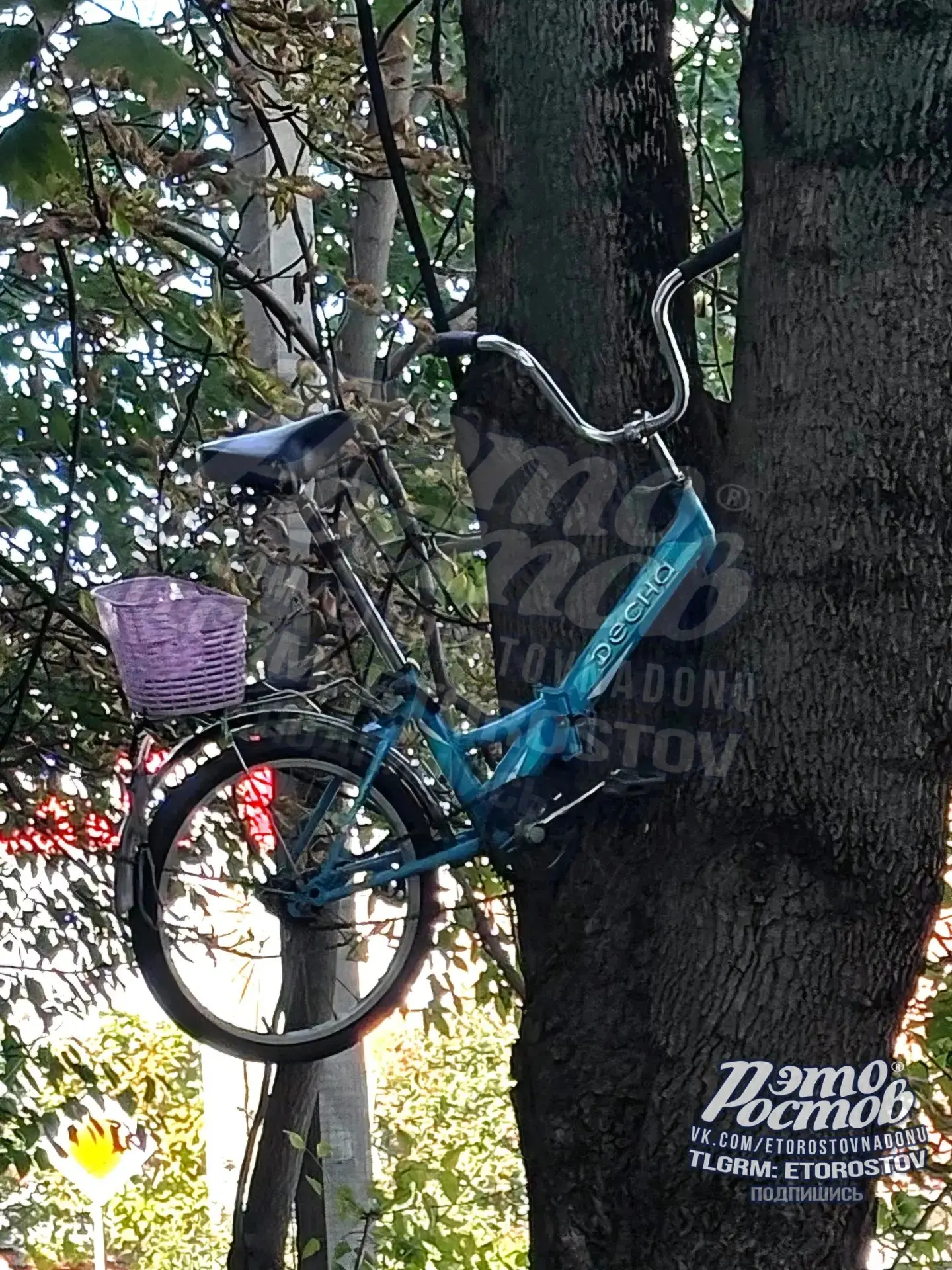 🚲 Велопарковка по-Чкаловски: чем выше, тем надёжнее. 😆