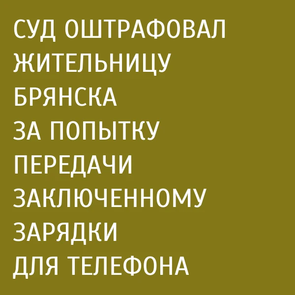 Постановлением мирового судьи судебного участка № 67 Бежицкого района г. Брянска местна...