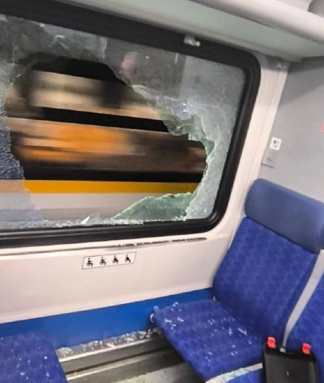 Дегенераты продолжают свое шествие по электричкам Подмосковья