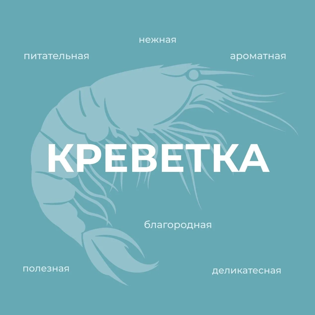 🦐 Креветка – из экзотики в традицию