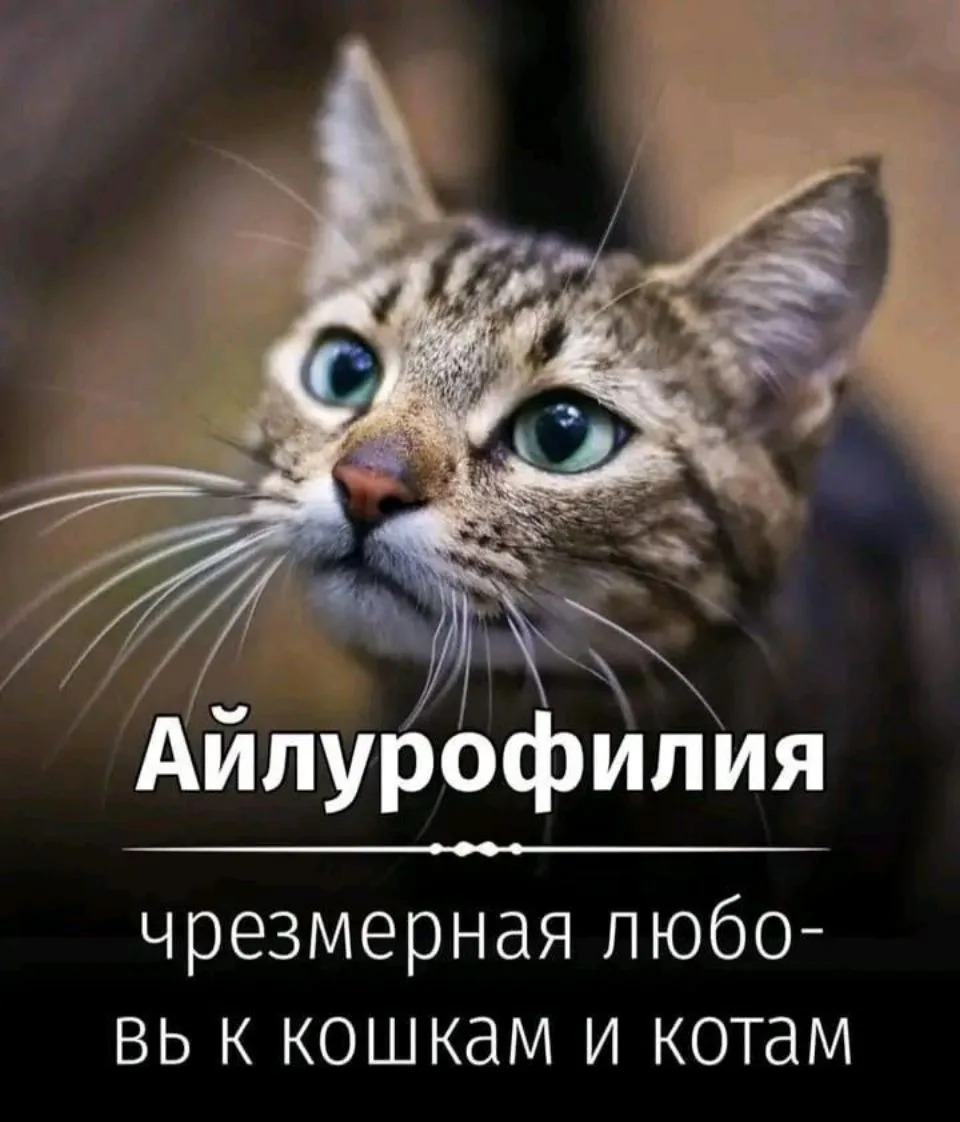 У кого она есть? 🧐🙂