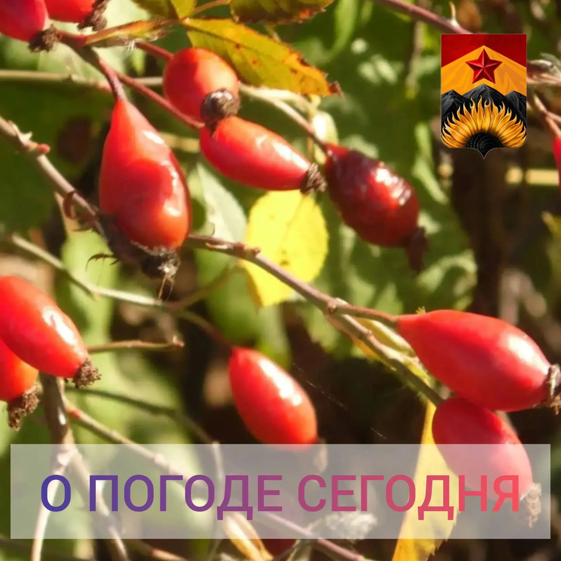Гидрометцентр сообщил о погоде в Шахтерском округе