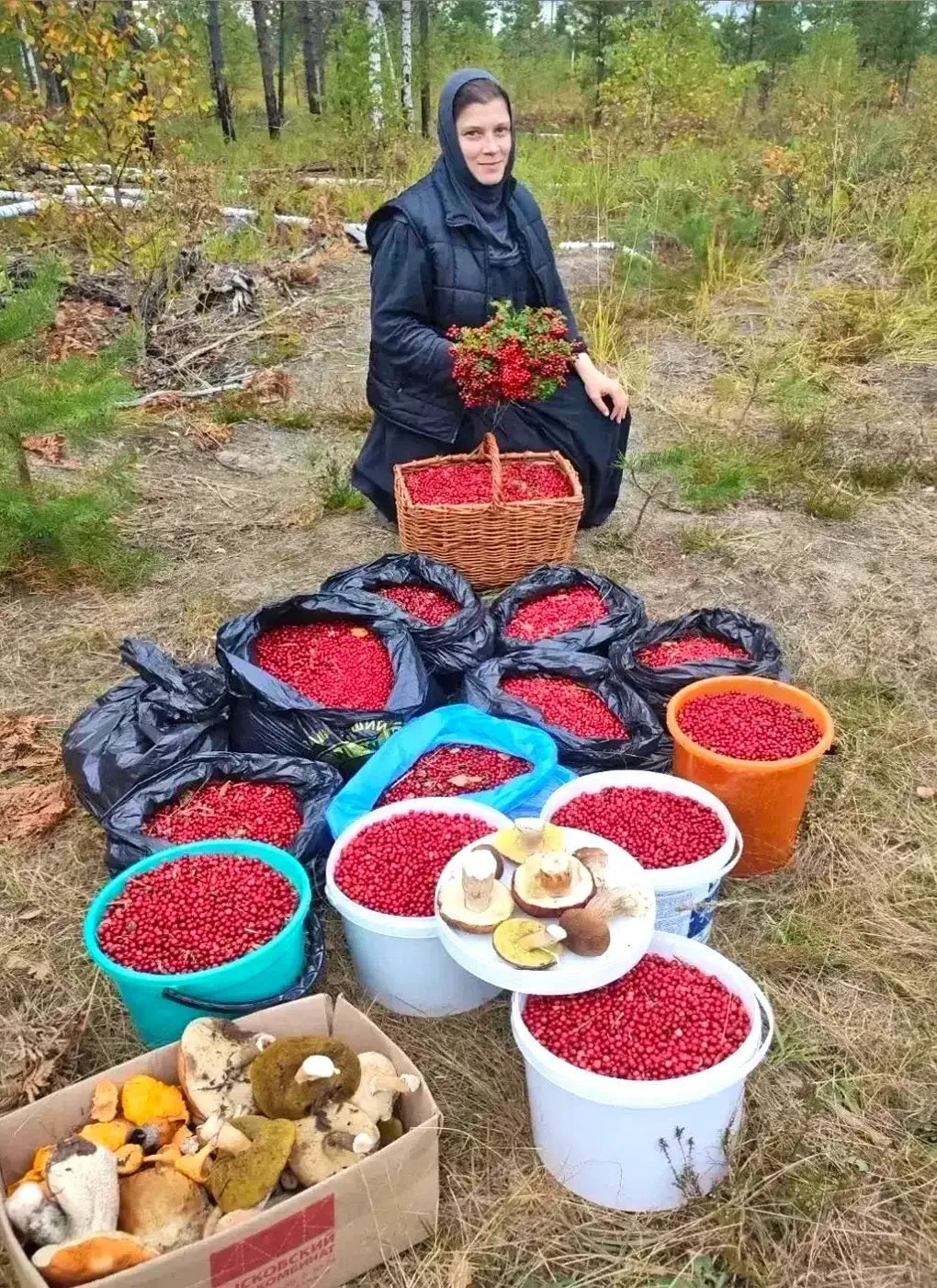 😍🍒 Смотрите, какая красота!