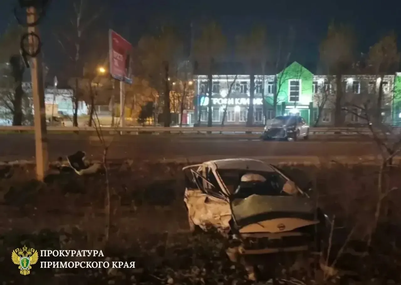 💔 Двухлетний малыш и мужчина погибли в страшном ДТП в Уссурийске