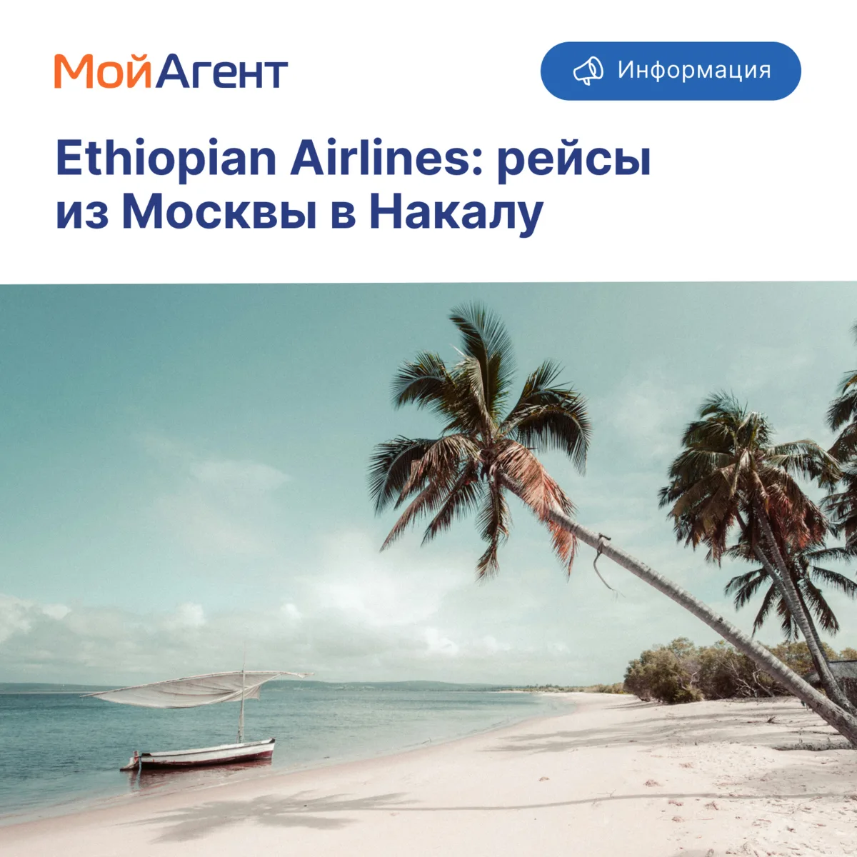 С 27 октября 2026 года Ethiopian Airlines начинает выполнять рейсы по маршруту Москва —...