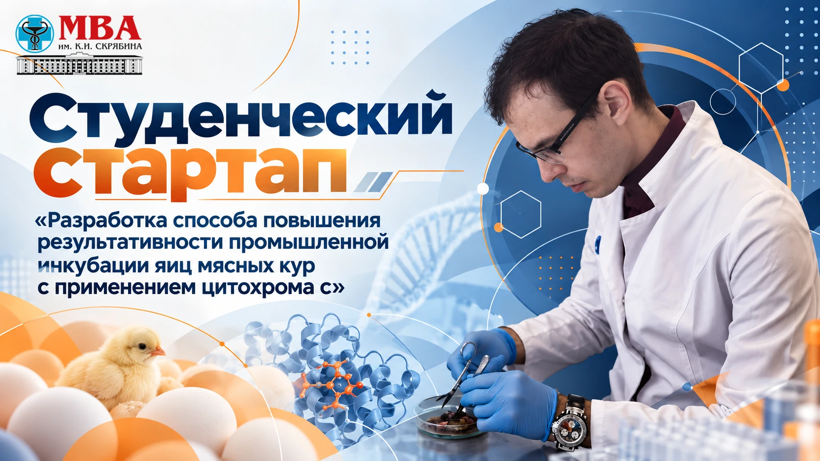 Что появилось раньше — курица или яйцо? Здесь изучают этап между ними 🐣
