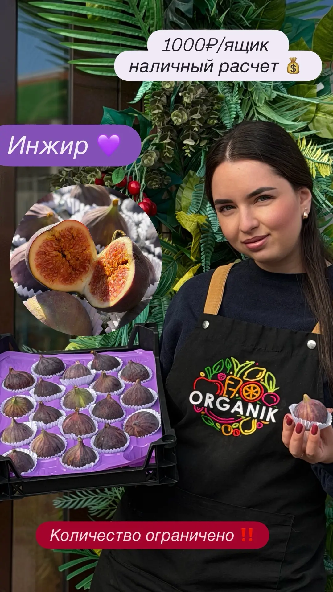 Инжир 💜