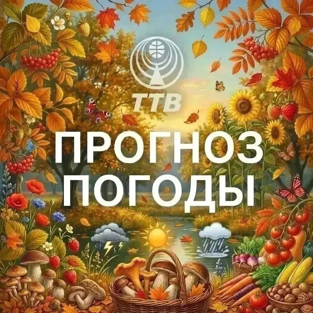 Прогноз погоды в Тулуне и Тулунском районе на субботу, 10 октября🍁: