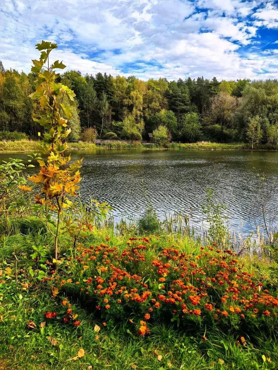 ✨ Парк Тропарево в Тёплом Стане — отличное место для прогулки с детьми