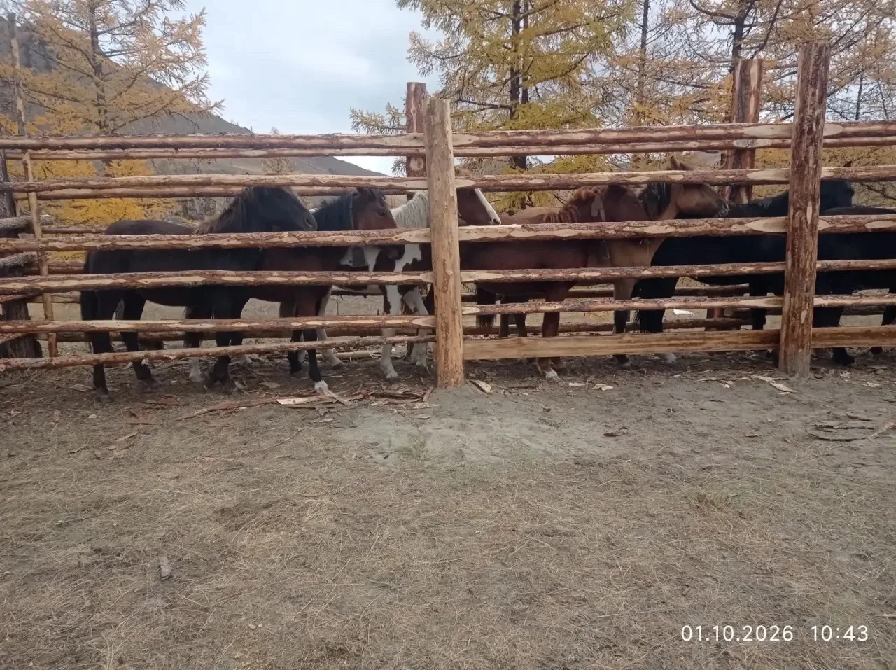 📣 Состоялась командировка