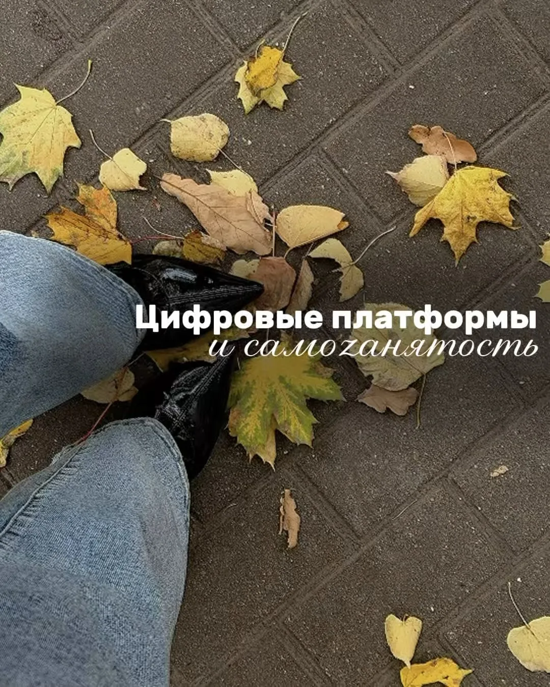 Помните, 1 октября я вскользь упомянула новые правила для самозанятых и обещала разобра...
