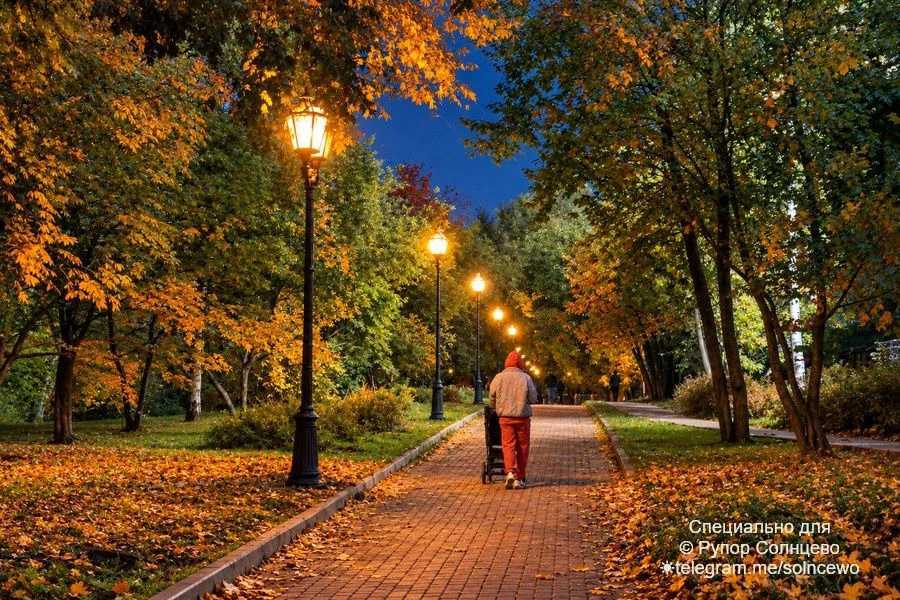 Прогулка в парке 60 летия Октября в Солнцево