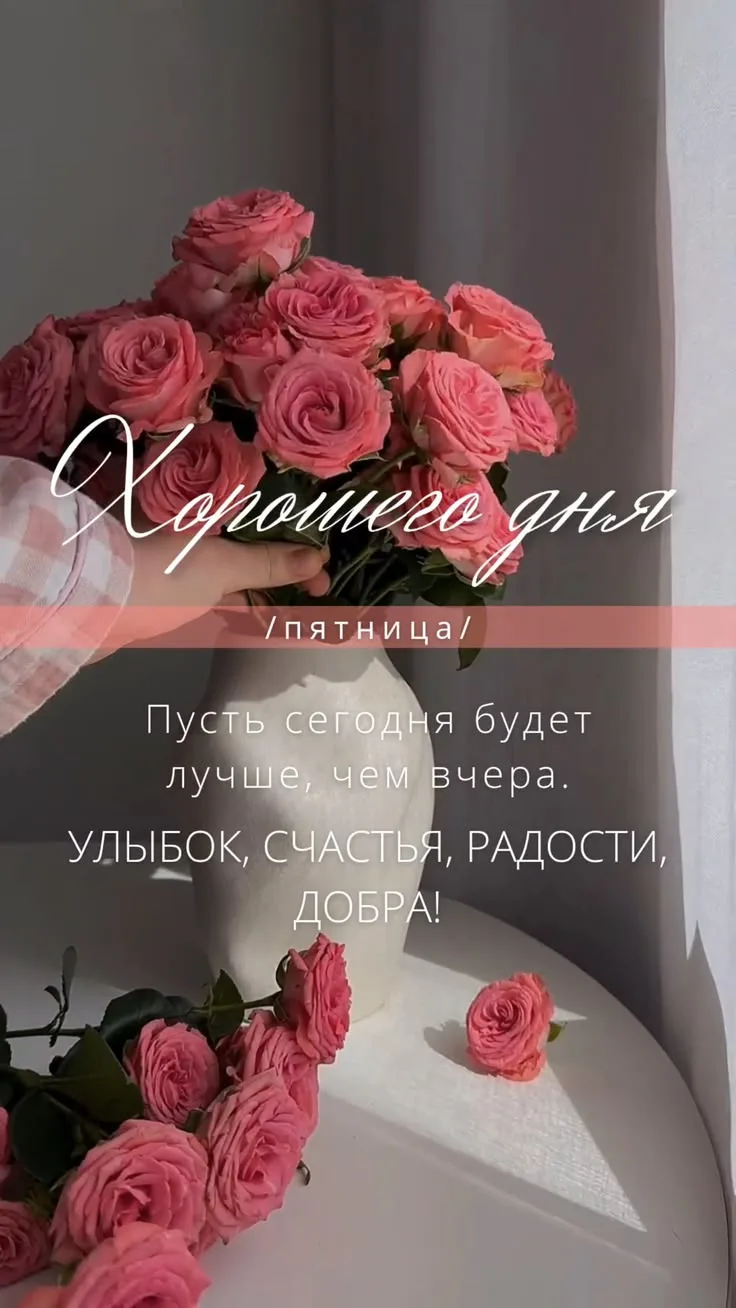 Подборка каналов на любой вкус: