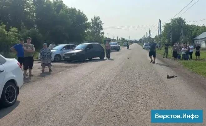 Суд вынес приговор подростку, который в селе под Магнитогорском насмерть сбил девочку н...