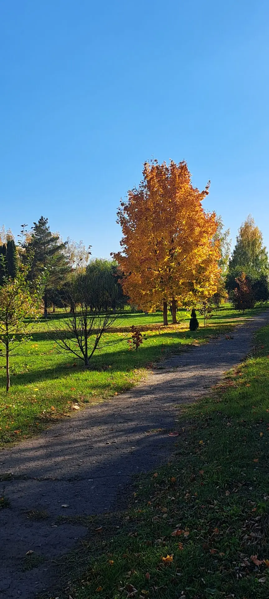 🍁🍂Доброе утро! Сегодня до вечера будет облачно с прояснениями. Днем местами небольшие...