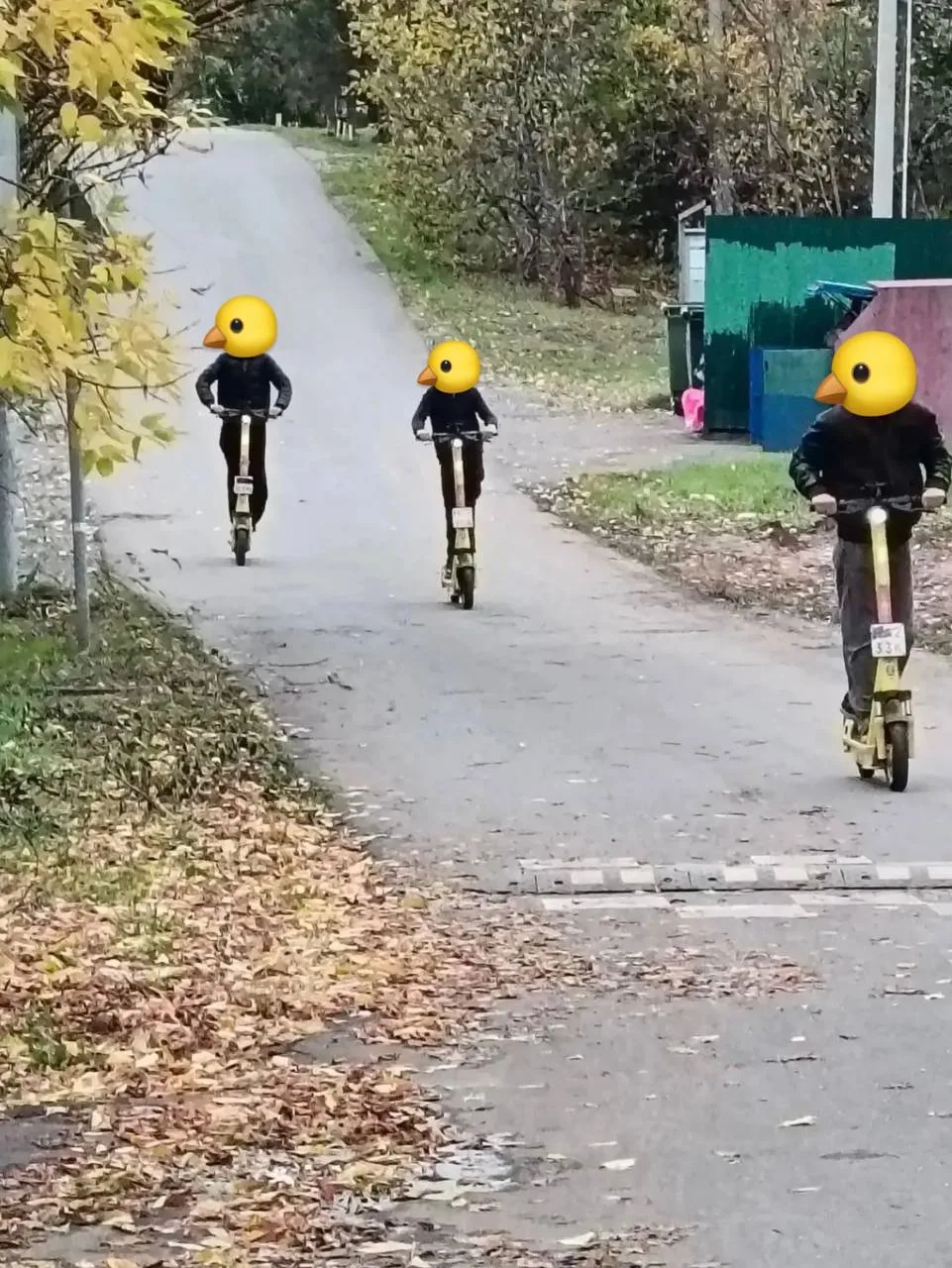 🤬Дети оккупировали арендные самокаты и вылетели на дорогу в деревне Пыхтино